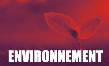 Environnement