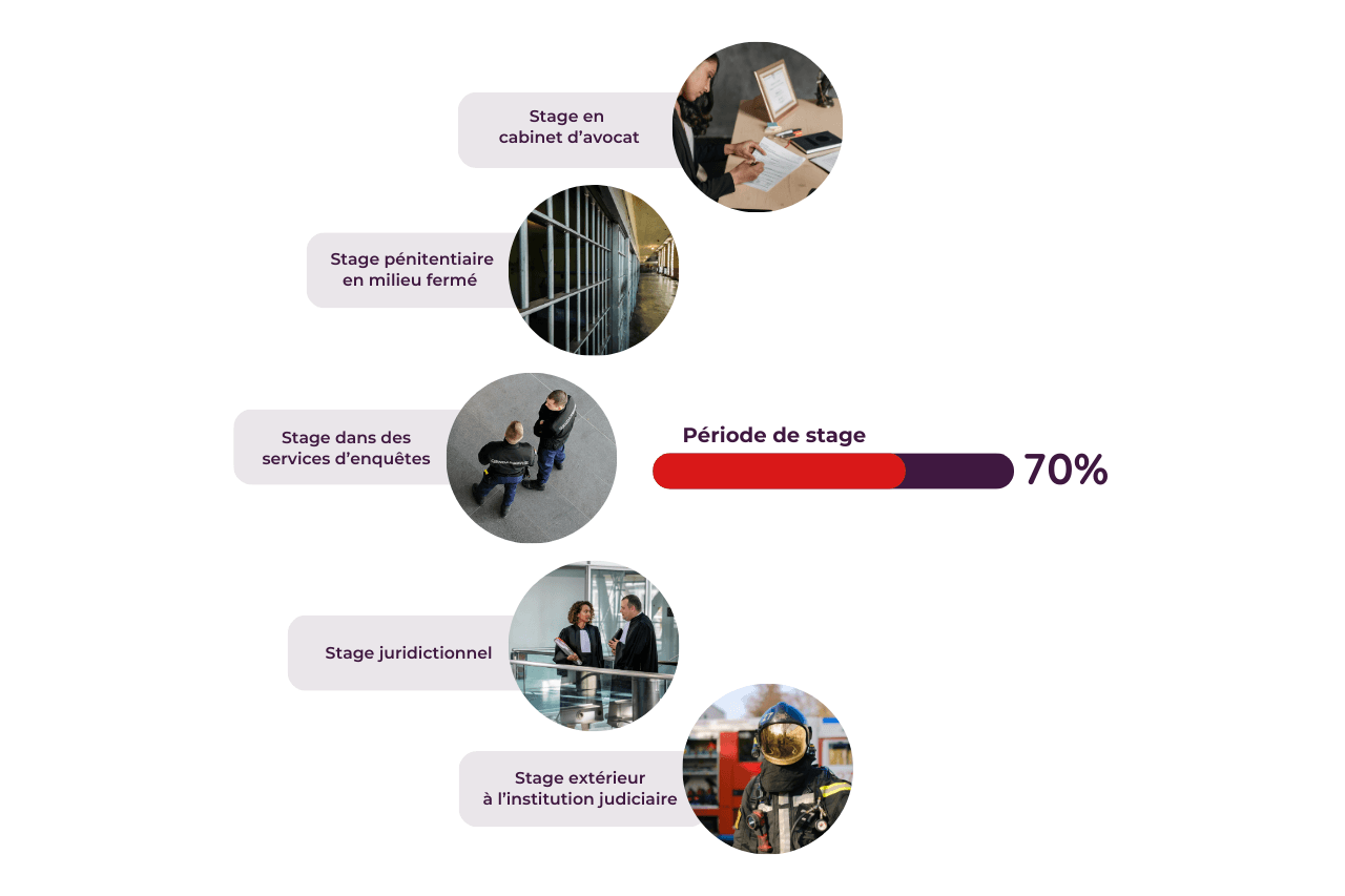Infographie sur les stages