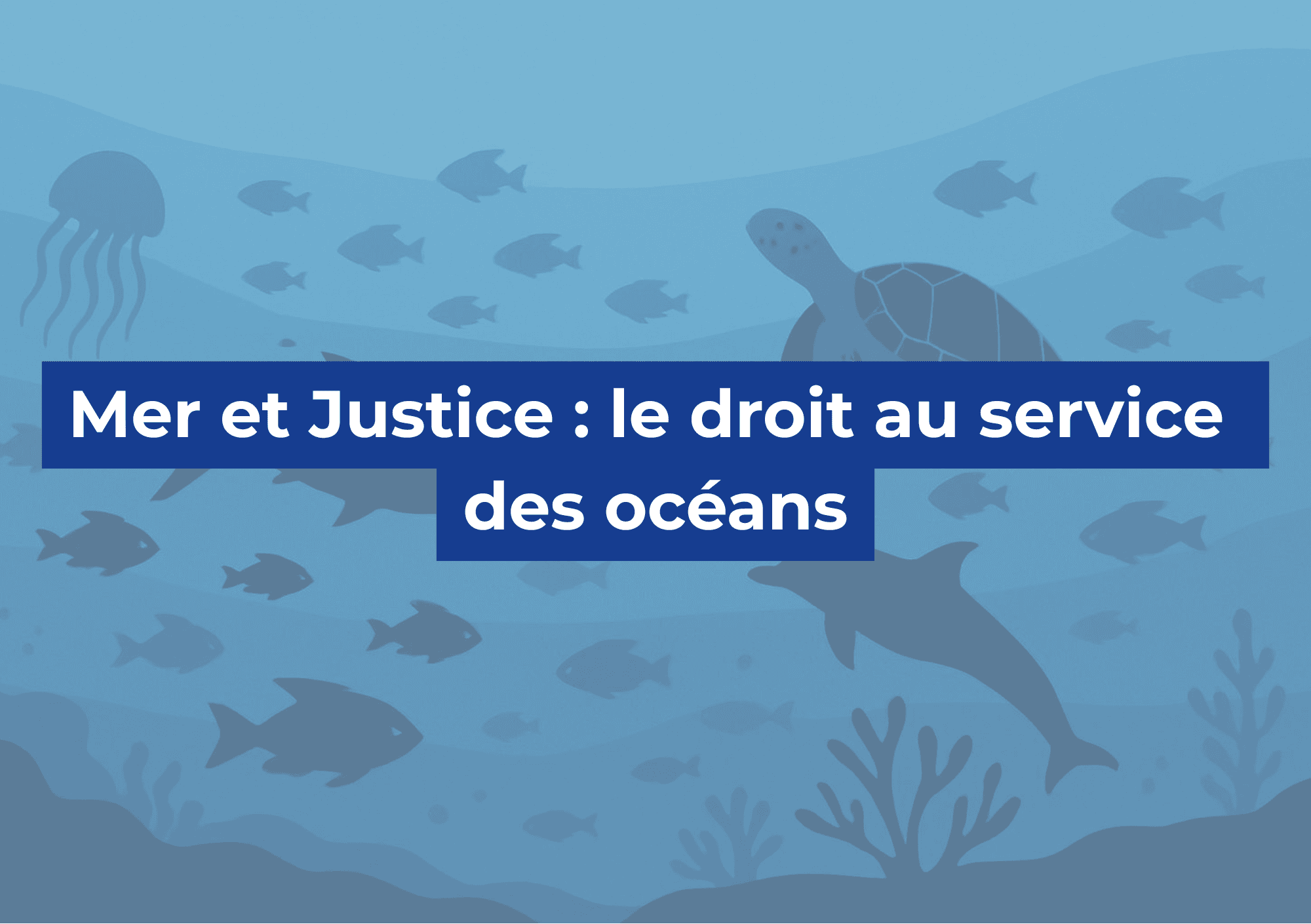 Mer et Justice : le droit au service des océans